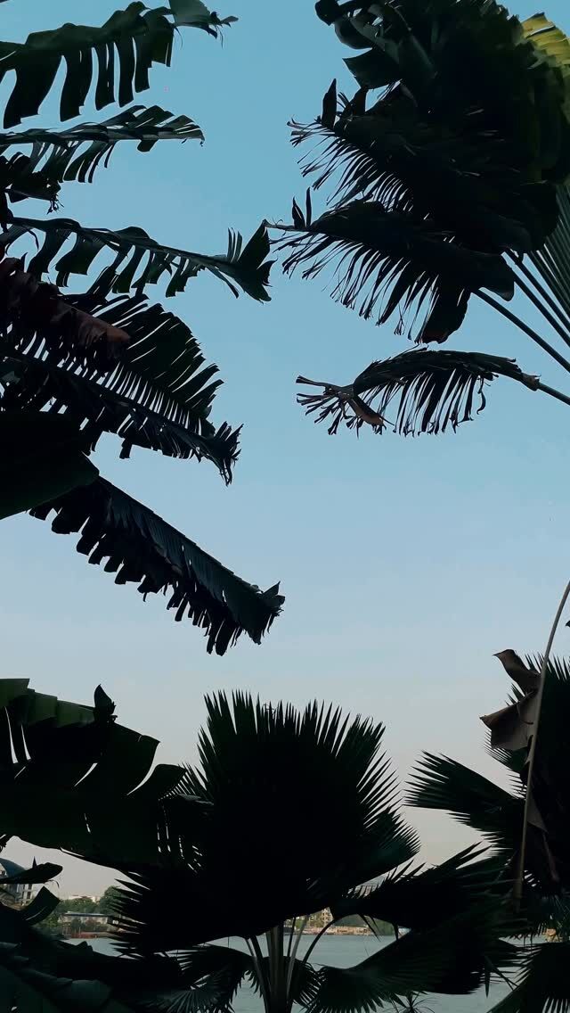 Red Bull 2026 jumpstart 

Planner @sweeftevents_ 
#22media 
#mobilevideography